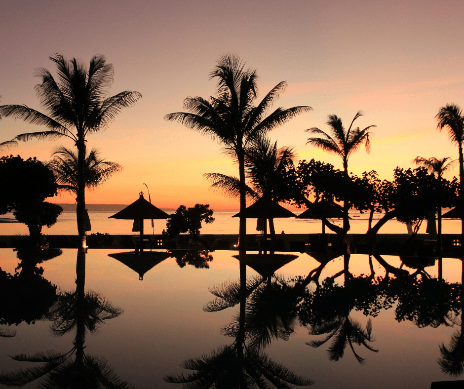 An image suggesting Bali Writing Retreat, palm trees, water, sunset reflection.